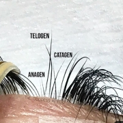 Laat wimperextensions zetten bij The Wellness Room