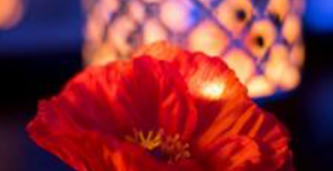 The Wellness Room in Antwerpen